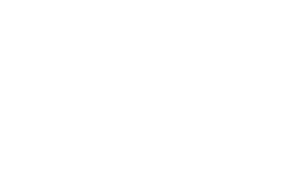 Analog devices Logo